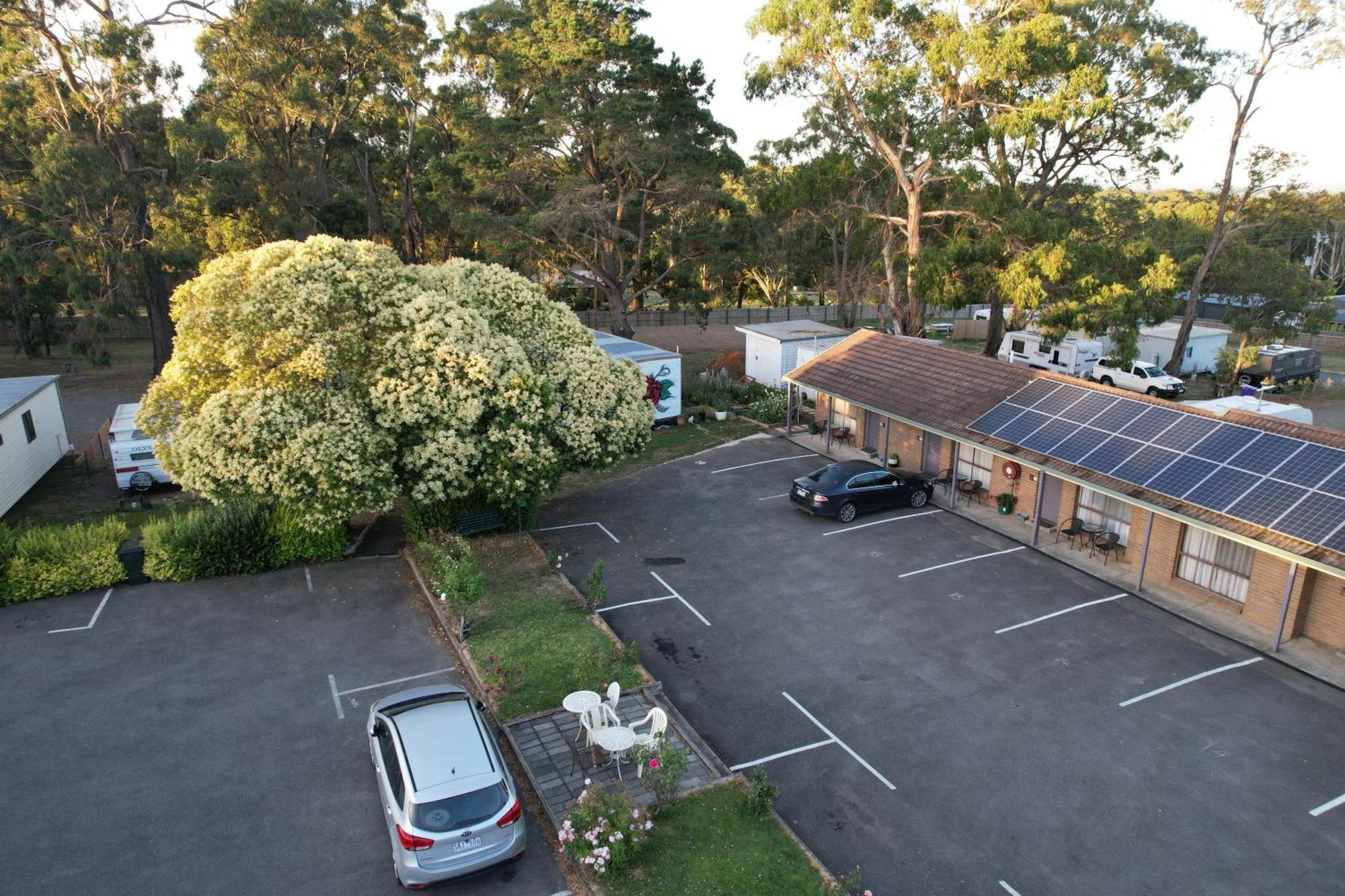 Woodmans Hill Motel Ballarat Exterior foto